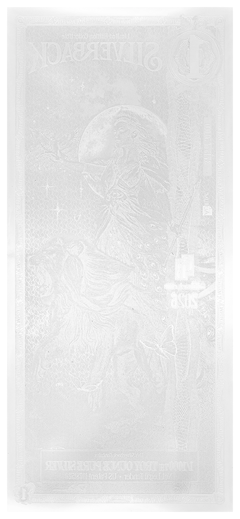 Hera Standard Silverback — official back view