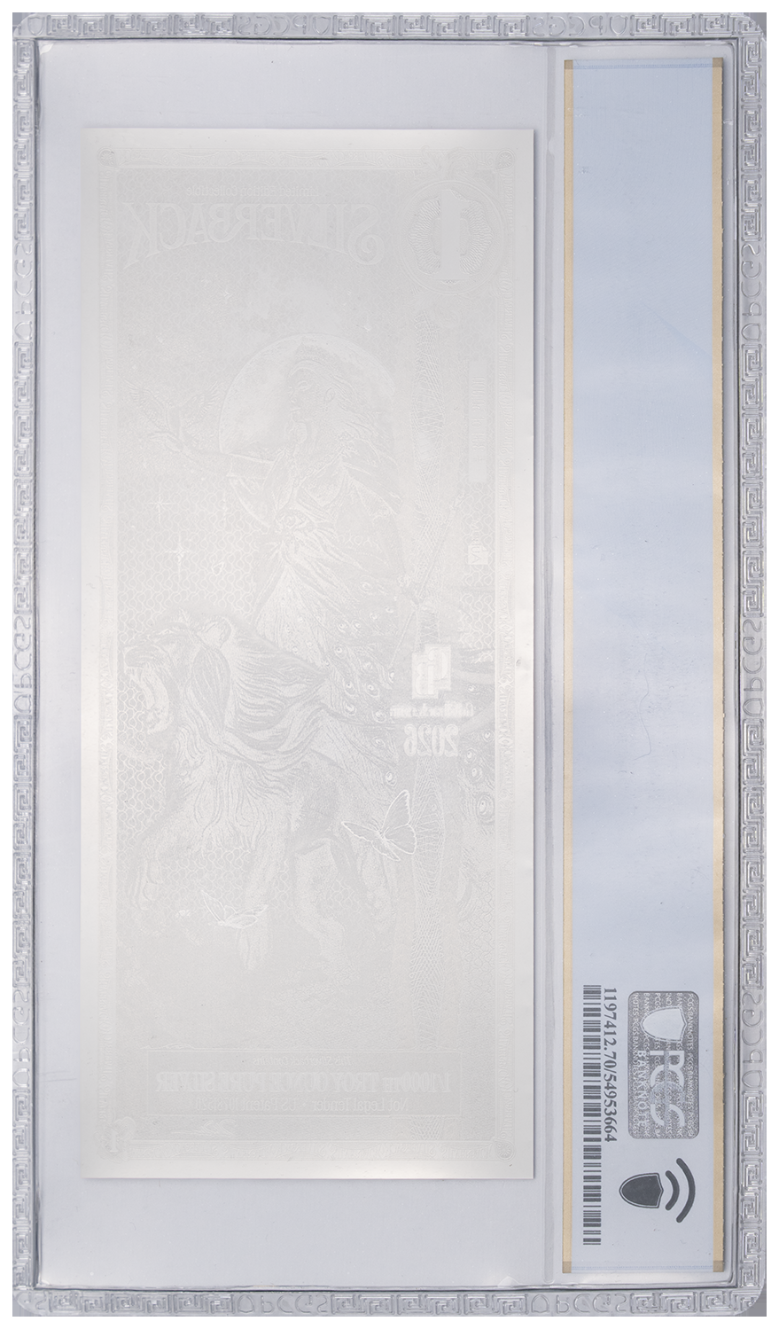 Graded Hera Standard Silverback — official back view
