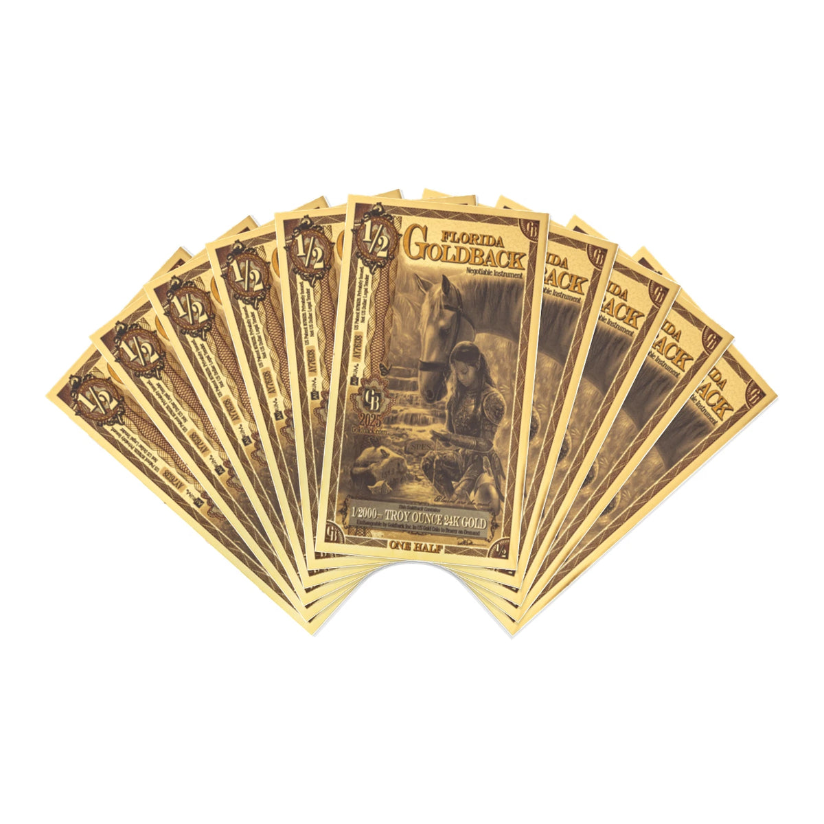 Florida 1/2 Goldback 10 Note Pack Non-Alpha 24K Gold 5 GB Total — pack front view