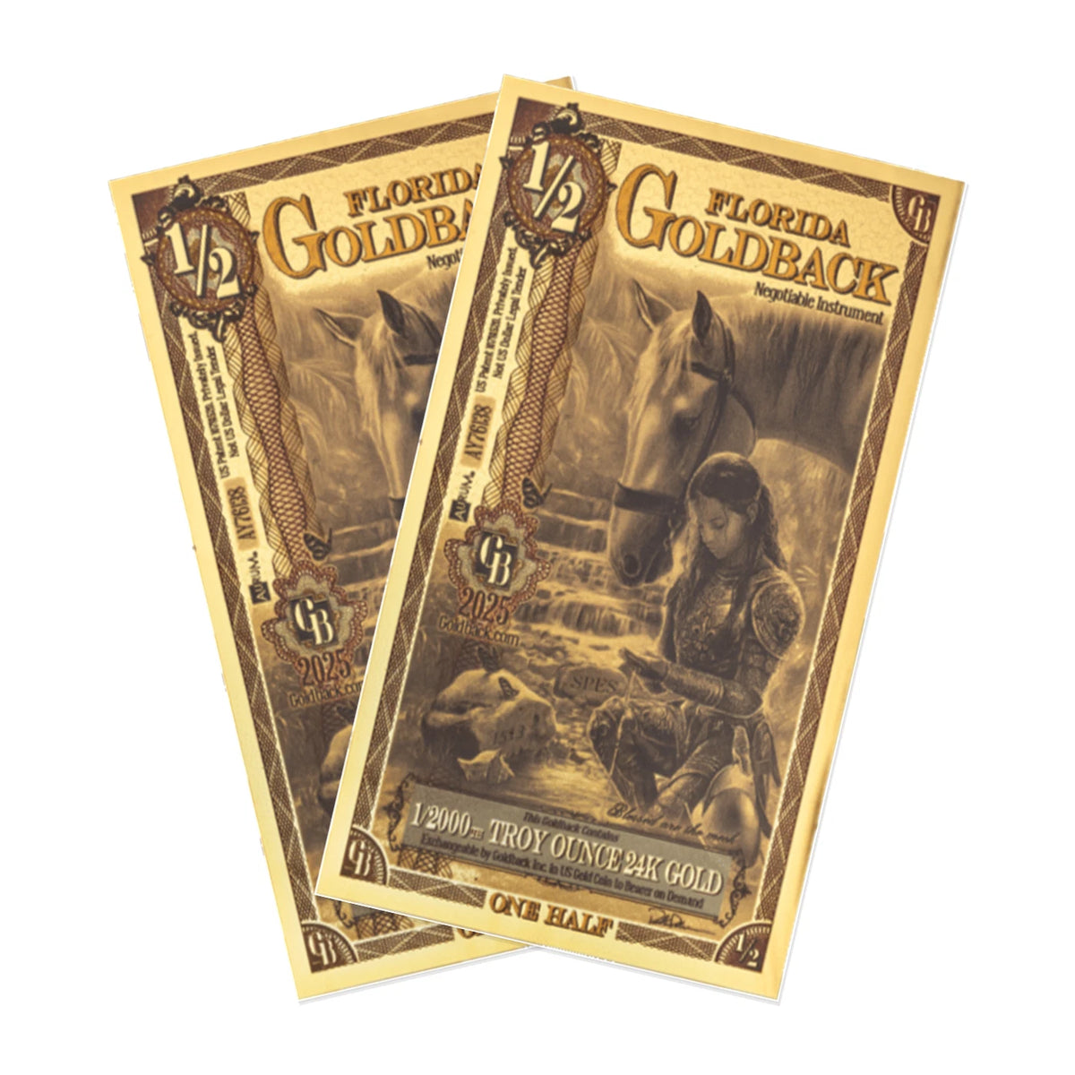 Florida 1/2 Goldback 2 Note Pack Non-Alpha 24K Gold 1 GB Total — pack front view