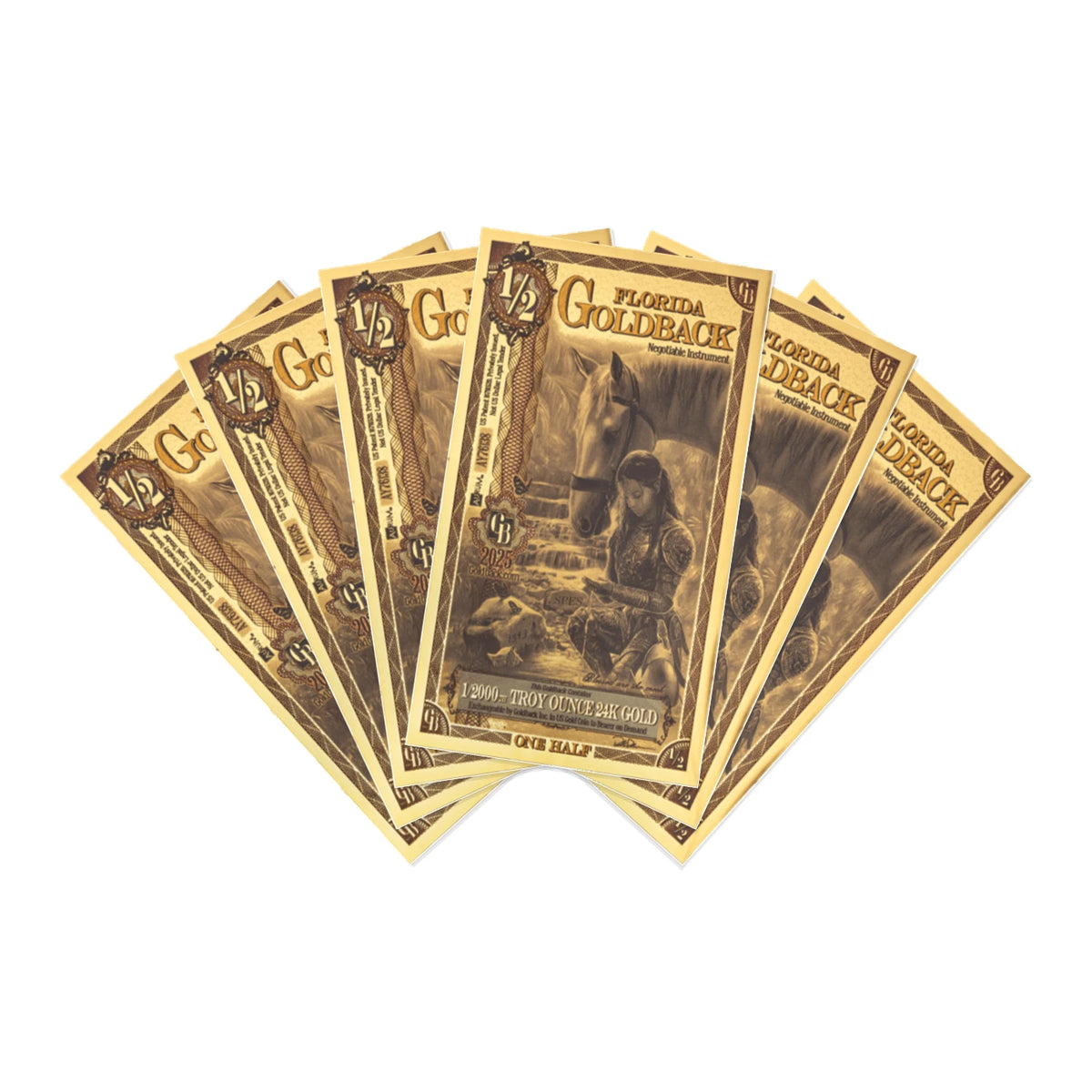 Florida 1/2 Goldback 6 Note Pack Non-Alpha 24K Gold 3 GB Total — pack front view